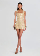 Elainy Sequin Lace Dress