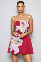 Ryron Red Floral Bustier Mini Dress