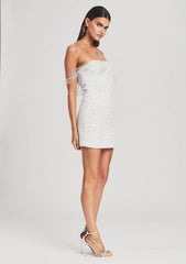 Cassandra Sequin Fringe Dress