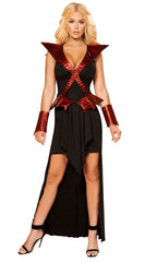 Dragon Slayer Costume - Image 1