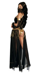 Dark Harem Nights Costume - Image 2