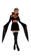 Vampire Queen Costume - Image 4
