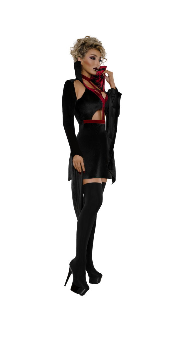 Vampire Queen Costume - Image 2