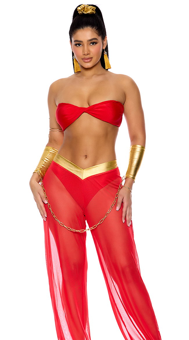 Royal Service Costume - Image 1