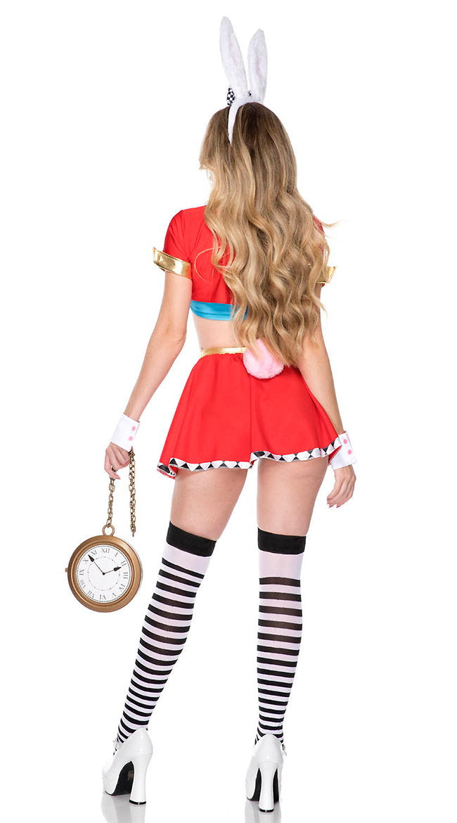 Rabbit Wonderland Costume - Image 5